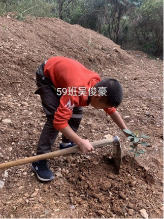 衡陽市蒸湘區(qū)仁愛實驗中學|衡陽全日制|全寄宿|全封閉|半月假制初級中學 衡陽市蒸湘區(qū)仁愛實驗中學|衡陽全日制|全寄宿|全封閉|半月假制初級中學