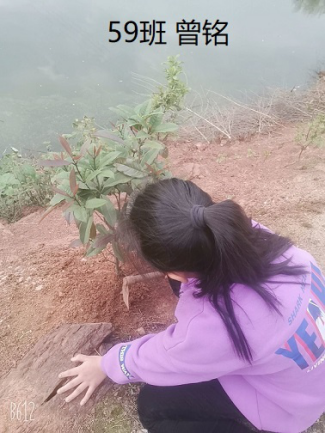 衡陽市蒸湘區(qū)仁愛實驗中學|衡陽全日制|全寄宿|全封閉|半月假制初級中學 衡陽市蒸湘區(qū)仁愛實驗中學|衡陽全日制|全寄宿|全封閉|半月假制初級中學